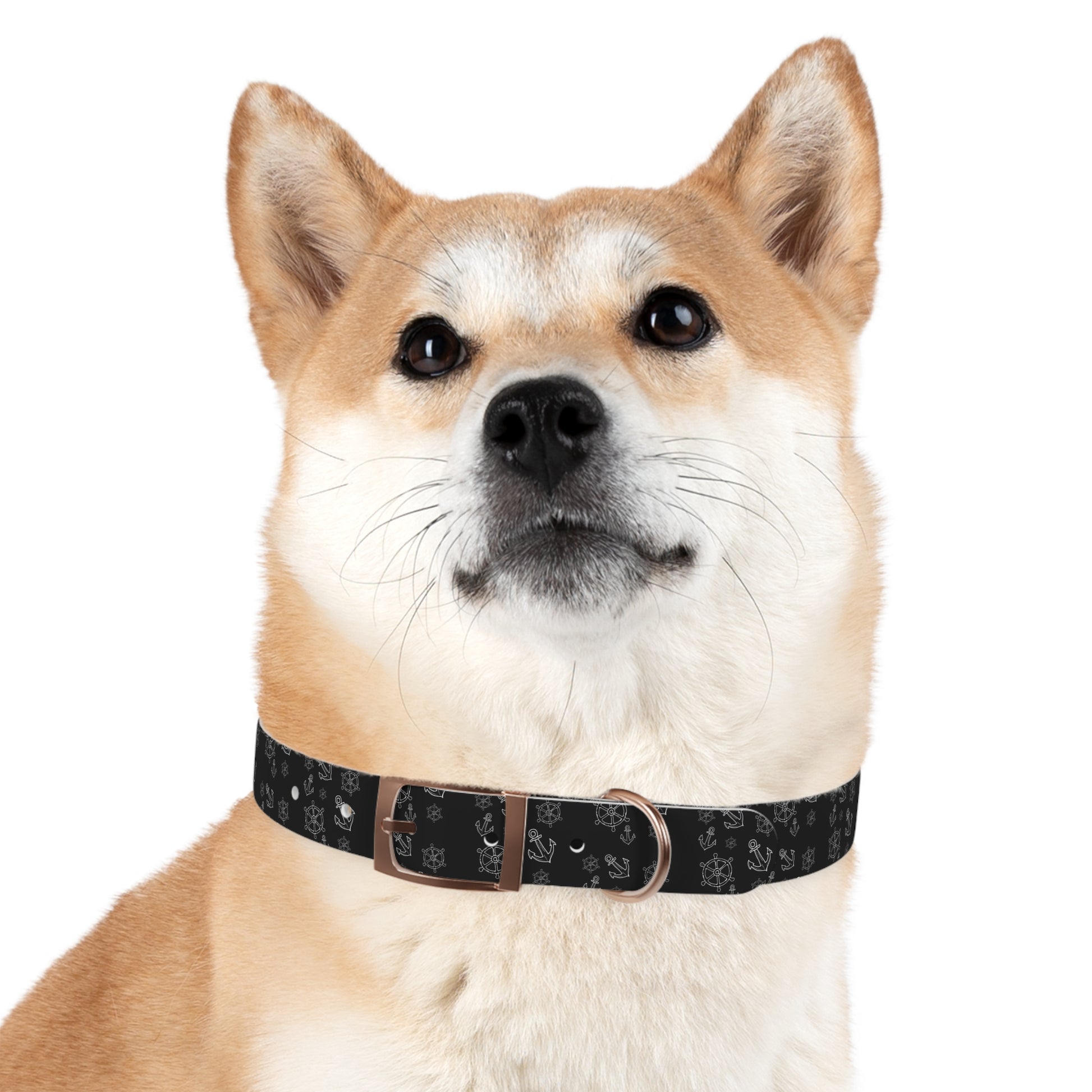 Wasserfestes Hundehalsband aus TPU  robust, stilvoll & geruchsabweisend | Geschenk für Hundeliebhaber:innen