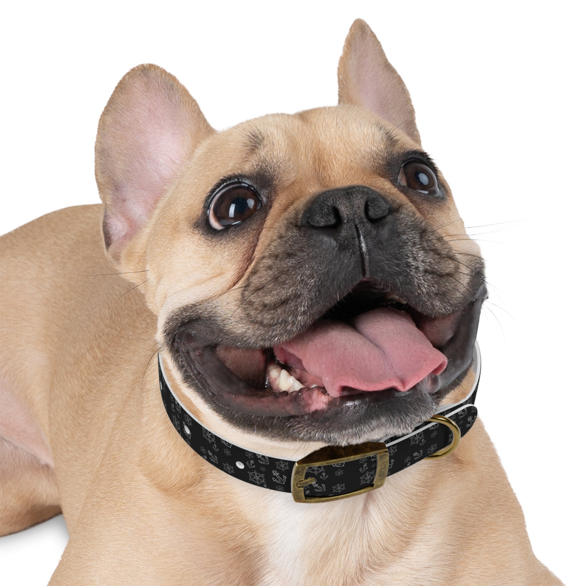 Wasserfestes Hundehalsband aus TPU  robust, stilvoll & geruchsabweisend | Geschenk für Hundeliebhaber:innen