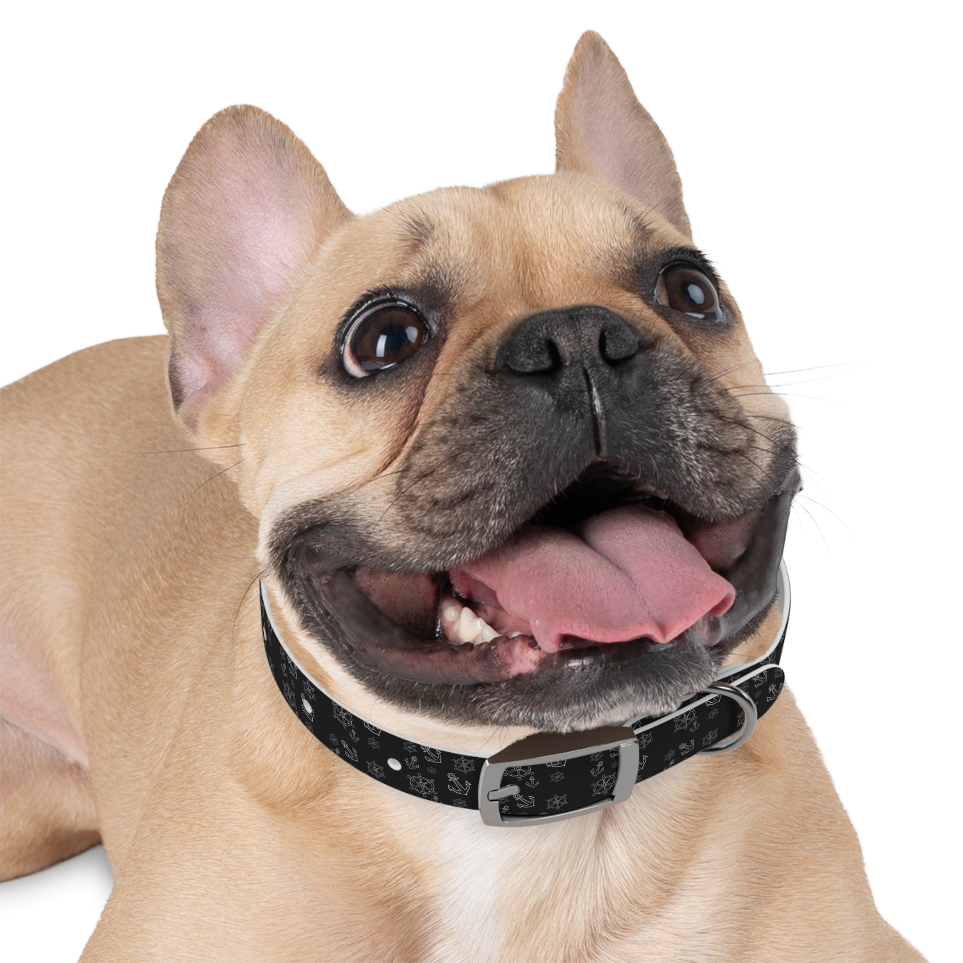 Wasserfestes Hundehalsband aus TPU  robust, stilvoll & geruchsabweisend | Geschenk für Hundeliebhaber:innen
