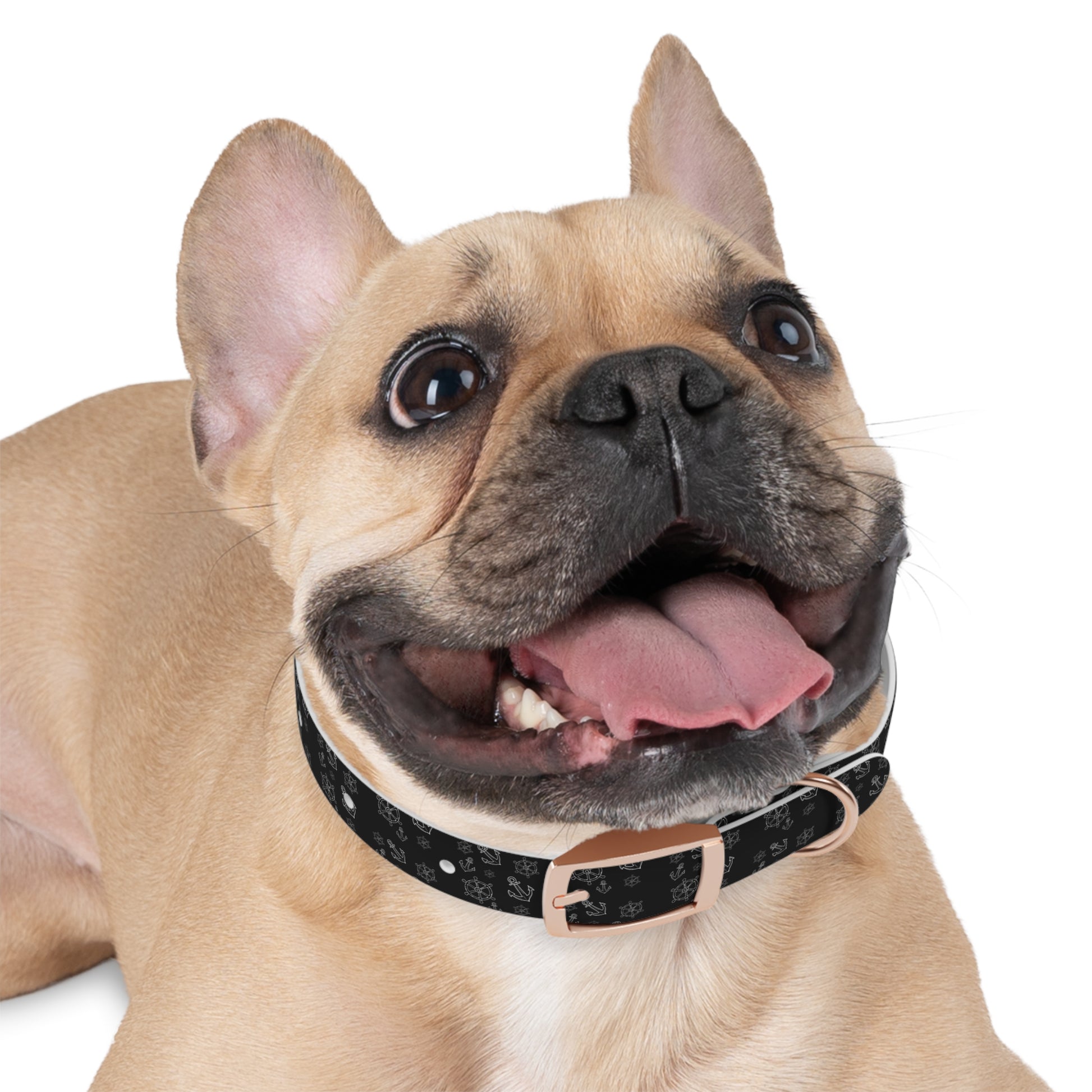 Wasserfestes Hundehalsband aus TPU  robust, stilvoll & geruchsabweisend | Geschenk für Hundeliebhaber:innen