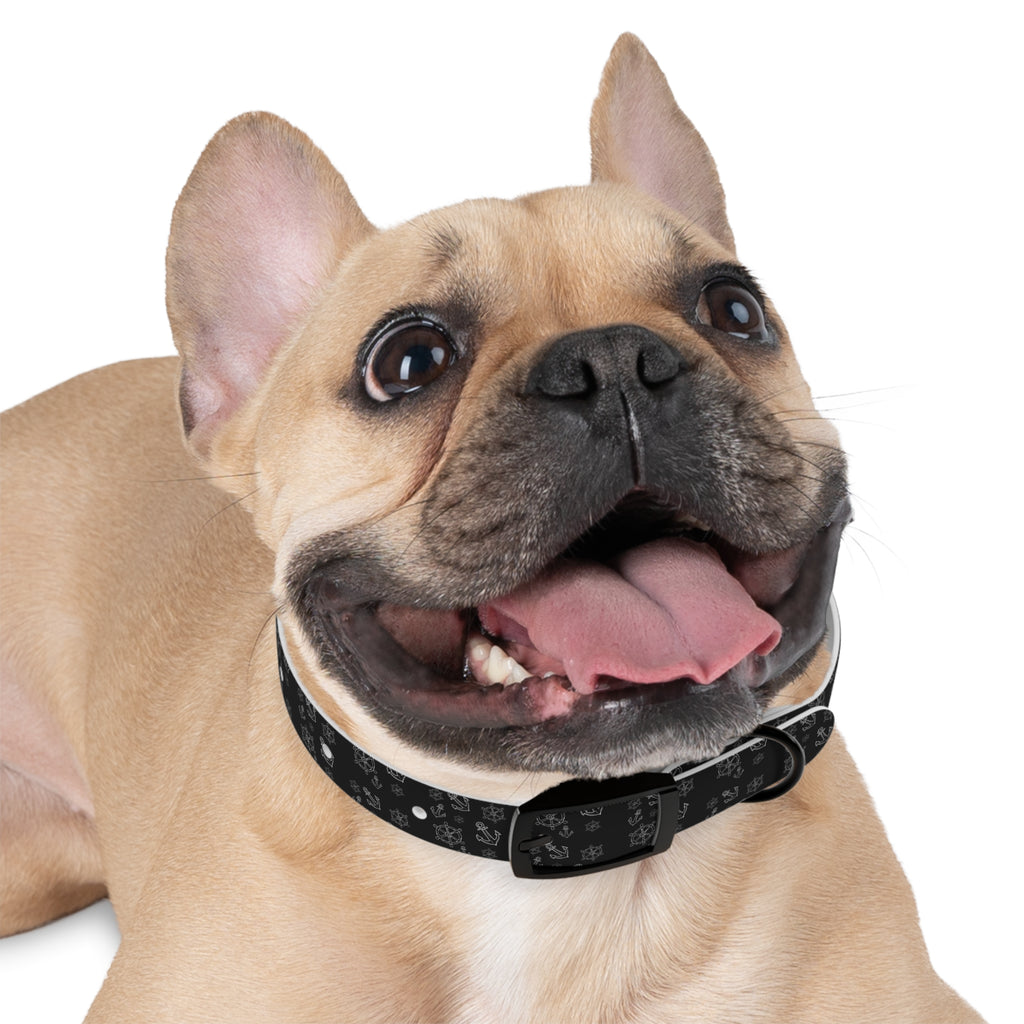 Wasserfestes Hundehalsband aus TPU  robust, stilvoll & geruchsabweisend | Geschenk für Hundeliebhaber:innen