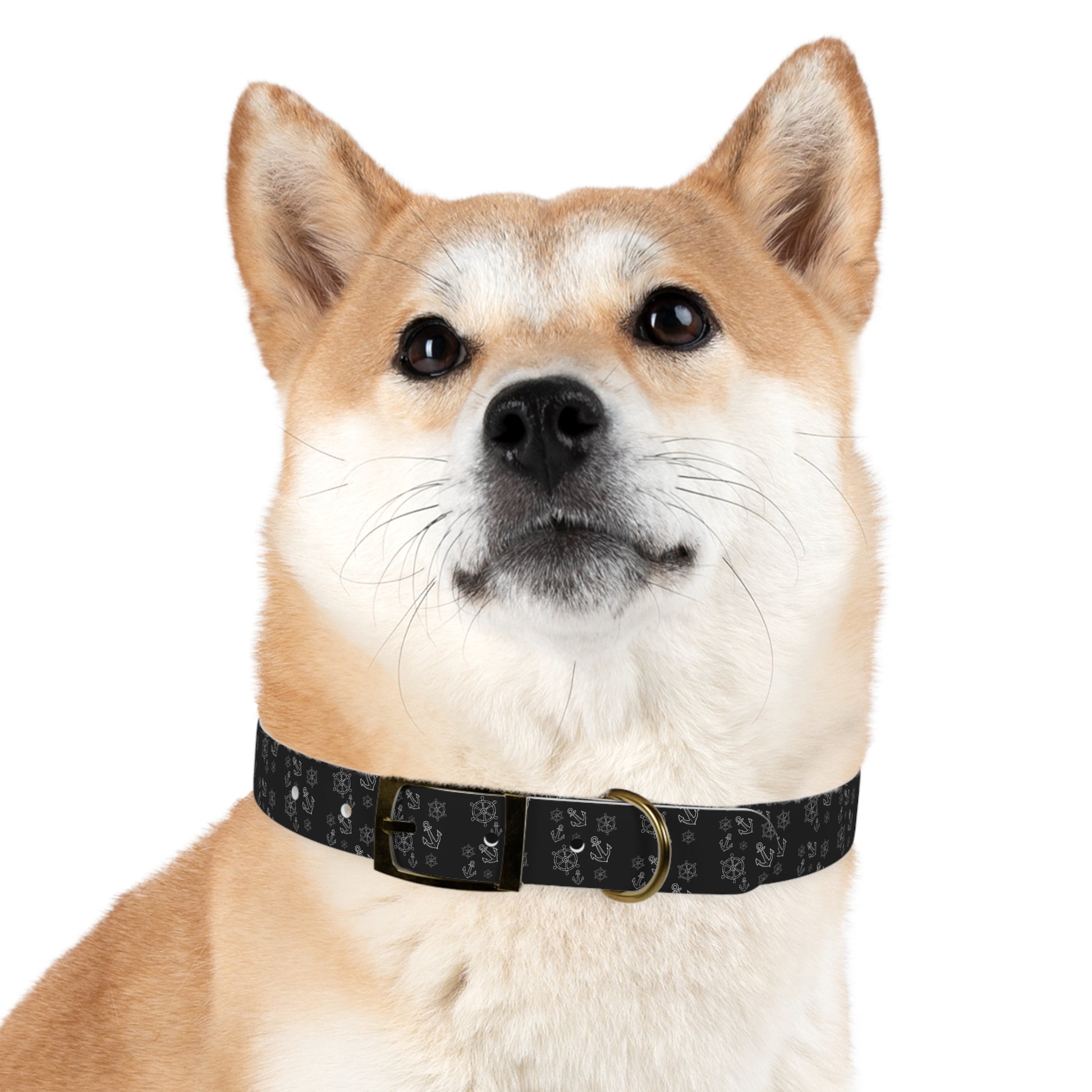 Wasserfestes Hundehalsband aus TPU  robust, stilvoll & geruchsabweisend | Geschenk für Hundeliebhaber:innen